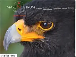 Sites similar to marenostrum.com.mx