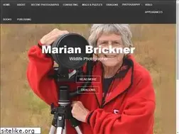 Sites similar to marianbricknerphotography.com