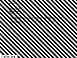 Sites similar to mariannefritz.at