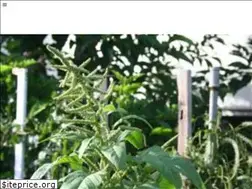 Sites similar to maribehlla.com