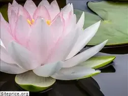 Sites similar to marijlentz.nl