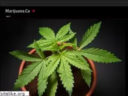Sites similar to marijuana.ca