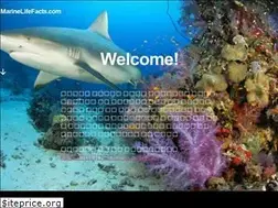 Sites similar to marinelifefacts.com