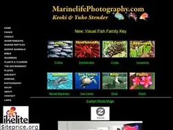 Sites similar to marinelifephotography.com