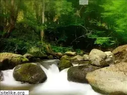 Sites similar to maristenpatres.de