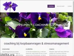 Sites similar to marjoleinjupijn.nl