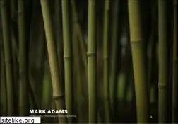Sites similar to markadamsphoto.com