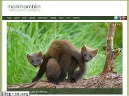 Sites similar to markhamblin.com