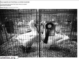 Sites similar to markopriske.de