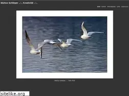 Sites similar to markusschlieper.de