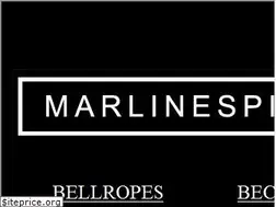 Sites similar to marlinespike.com