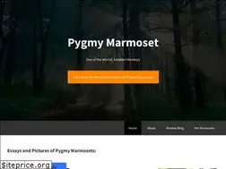 Sites similar to marmosetmonkey.weebly.com