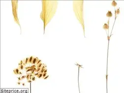 Sites similar to martadelapena.com