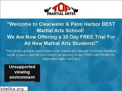 Sites similar to martialartsfl.com