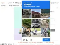 Sites similar to martialartsunlimited.net