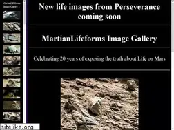 Sites similar to martianlifeforms.com