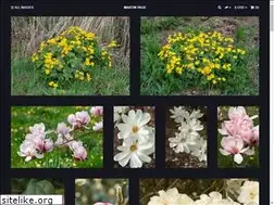 Sites similar to martin-page.com