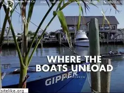 Sites similar to martinfishco.com