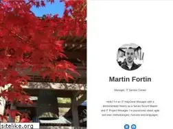 Sites similar to martinfortin.com
