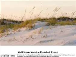 Sites similar to martinique-gulf.com