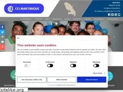 Sites similar to martinique.cci.fr