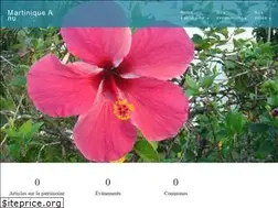 Sites similar to martiniqueannu.com