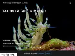 Sites similar to martinoo.com