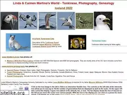 Sites similar to martinosworld.com
