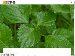 Sites similar to maru-web.com
