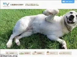 Sites similar to marugamedog.com