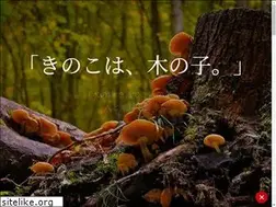 Sites similar to marukin.jp
