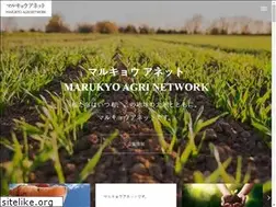 Sites similar to marukyo-a.net
