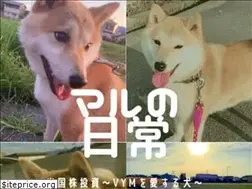 Sites similar to maruniti-vym.com