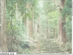 Sites similar to marusho-vinegar.jp