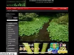 Sites similar to maruyamaen.jp