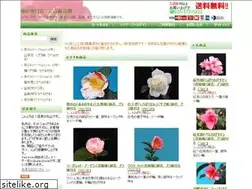 Sites similar to maruyamasinkaen.com
