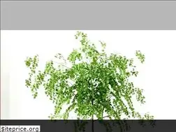 Sites similar to masaafurniture.com