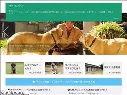 Sites similar to masaki-collection.jp