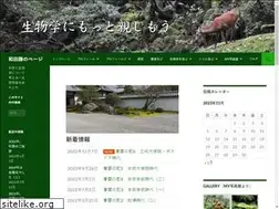 Sites similar to masaruwada.com