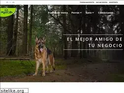 Sites similar to mascan.cl