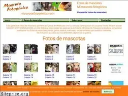 Sites similar to mascotafotogenica.com