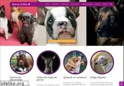 Sites similar to mascotasderaza.com