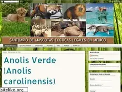 Sites similar to mascotasexoticasenmexico.blogspot.com