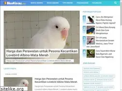 Sites similar to maskicau.net