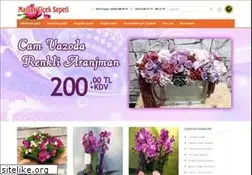 Sites similar to maslakciceksepeti.com