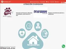 Sites similar to masscoti.com