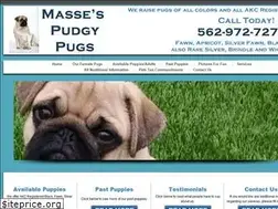 Sites similar to massespudgypugs.com