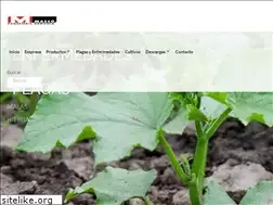 Sites similar to massopaqueteria.com