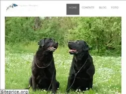 Sites similar to masterbiologi.com