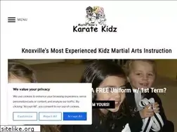 Sites similar to masterbooeskaratekidz.com